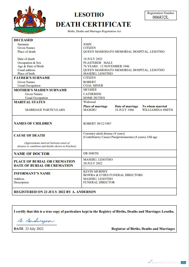 Download Lesotho vital record death certificate Word and PDF template Photoshop template